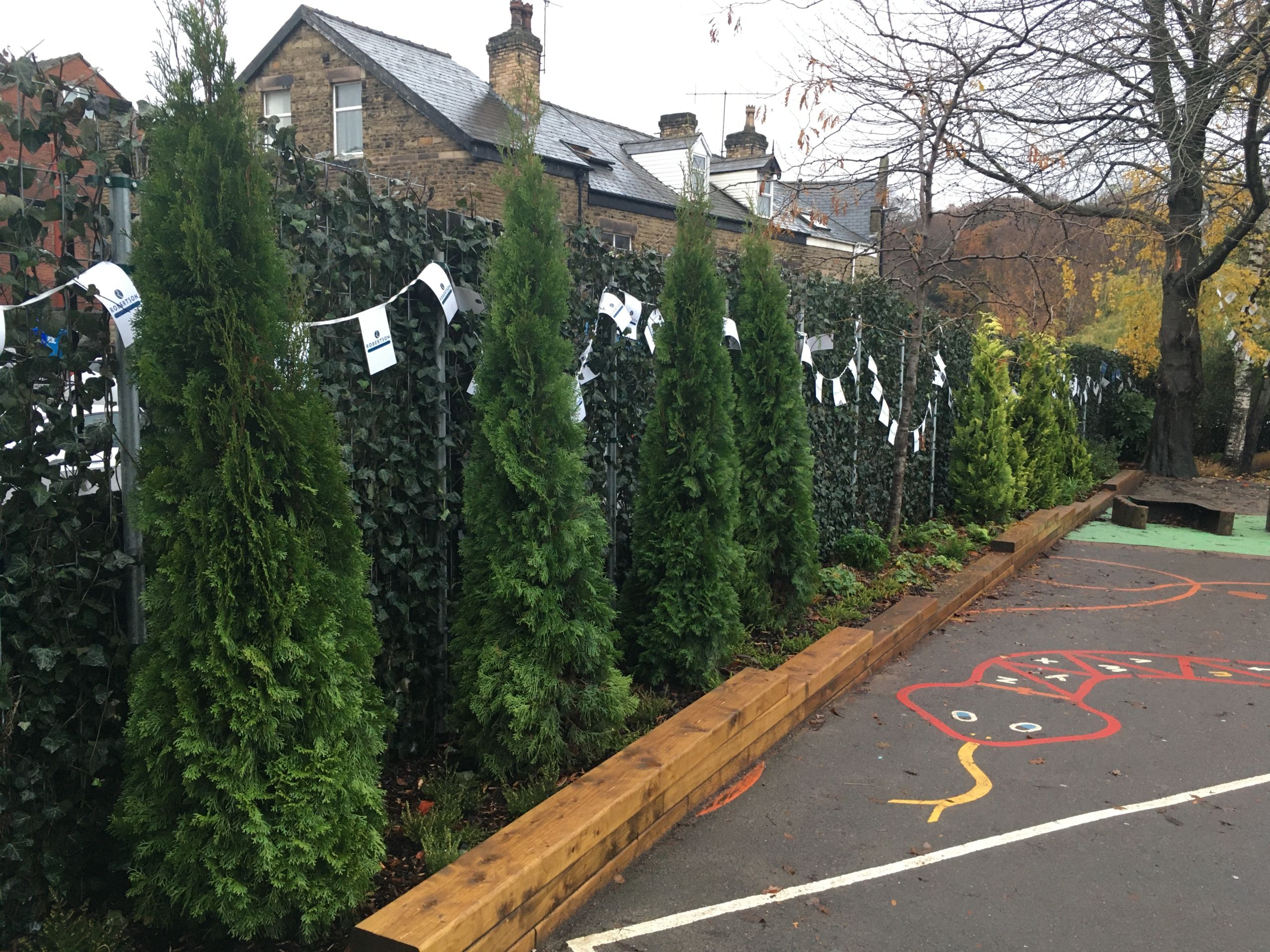 The plant wall in the school yard