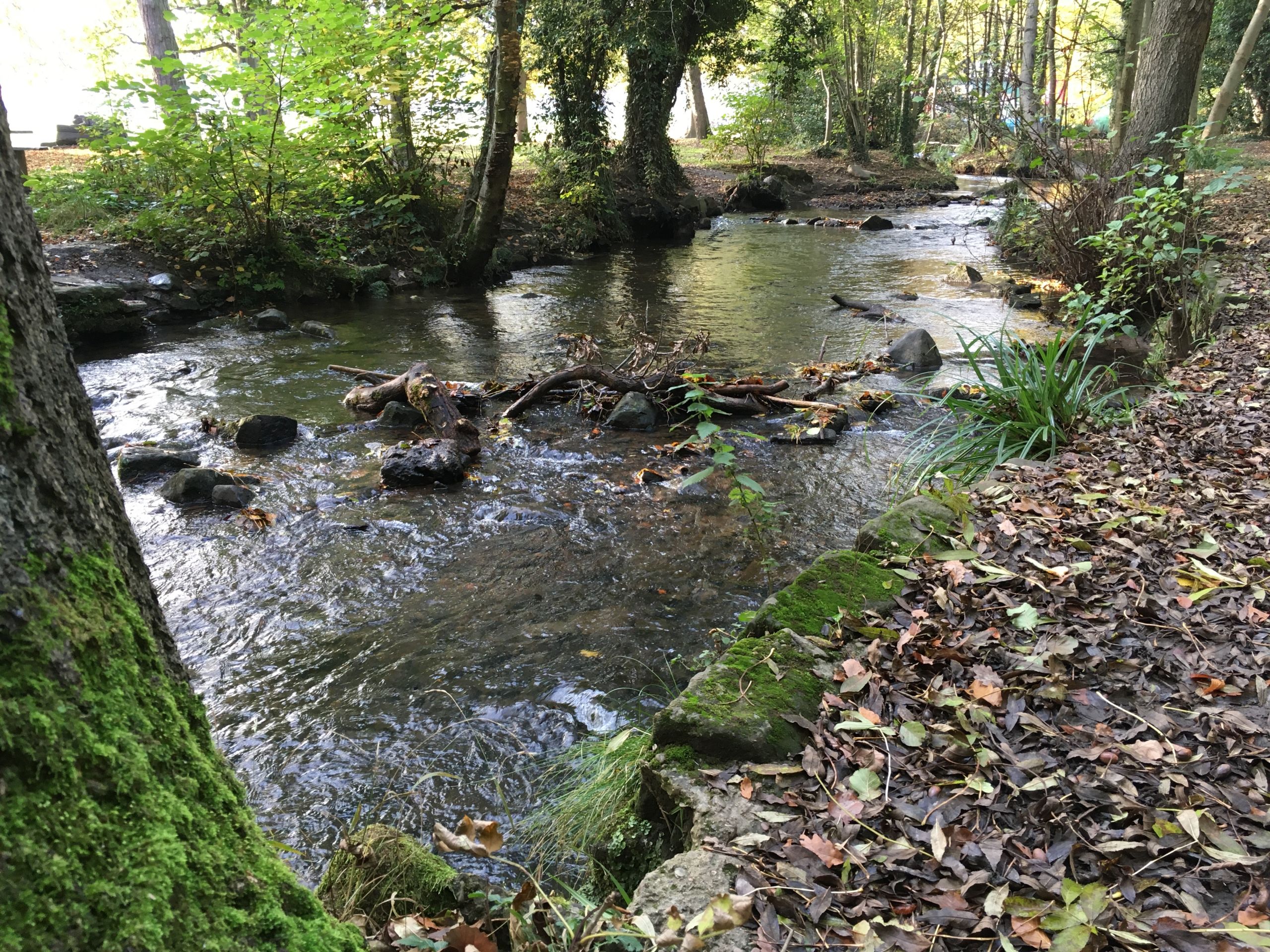 Endcliffe Park